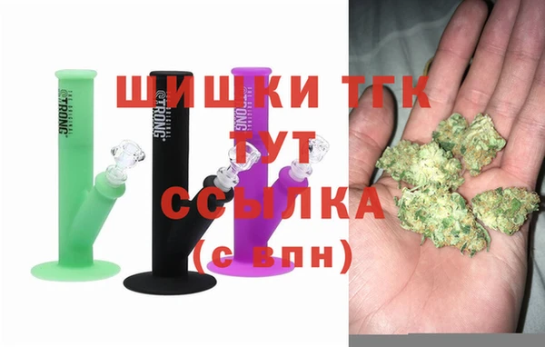 сатива Балахна