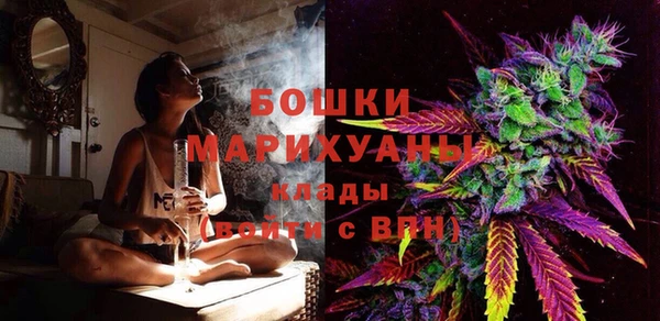 ГАЛЛЮЦИНОГЕННЫЕ ГРИБЫ Баксан