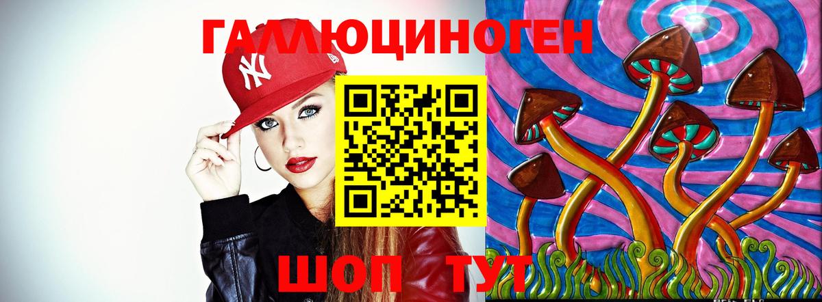 Галлюциногенные грибы Psilocybe  Вход с VPN  Белово  Псилоцибиновые грибы Psilocybe 