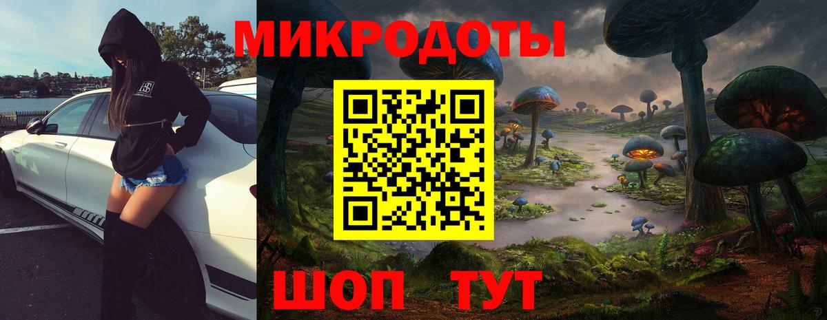 Галлюциногенные грибы Psilocybe Белово